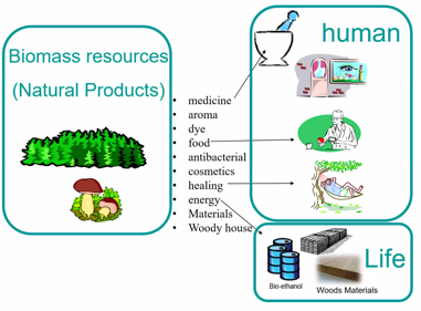 15th Asian Natural Products Conference (ANPC)